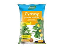 Westland Citrus Potting Compost Mix Enriched with Seramis 8 L