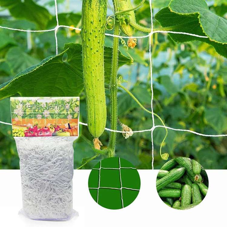 Plant climbing net - Trellis Netting 1,5M x 4,5M | Equipment