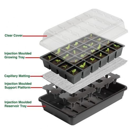 self watering seedling tray