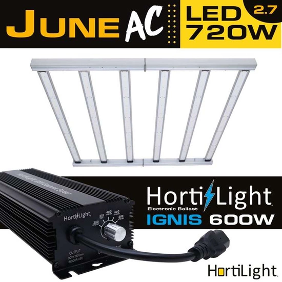 HortiLight June 720W LED GROW LAMP 6-BAR 2.7 µmol/J + 600W Ignis HortiLight 600W