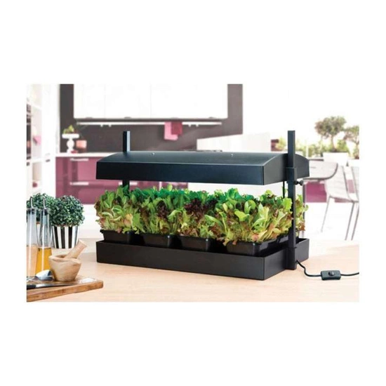 Garland Grow Light Garden Black 8W - set for growing herbs 50x20x45cm