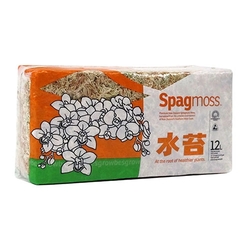 Besgrow New Zealand Sphagnum Spagmoss 150G 12L Premium moss