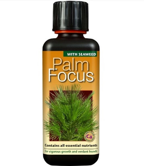 Growth Technology Palm Focus Nutrient for Palm 300ml