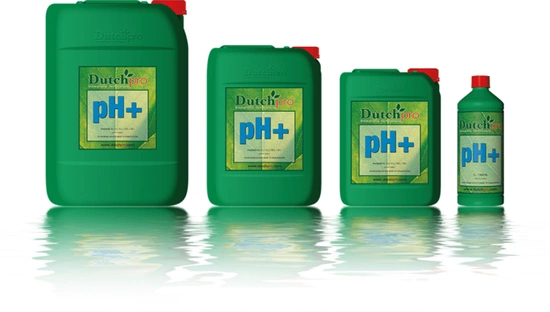 DutchPro pH plus 1L