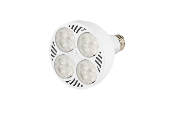 VERTICANA® Bulb 35W | WHITE | 80° lens 