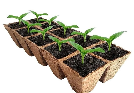 Peat pots Jiffy Pot tray for seedlings - 8x8x8cm | 207pcs full carton